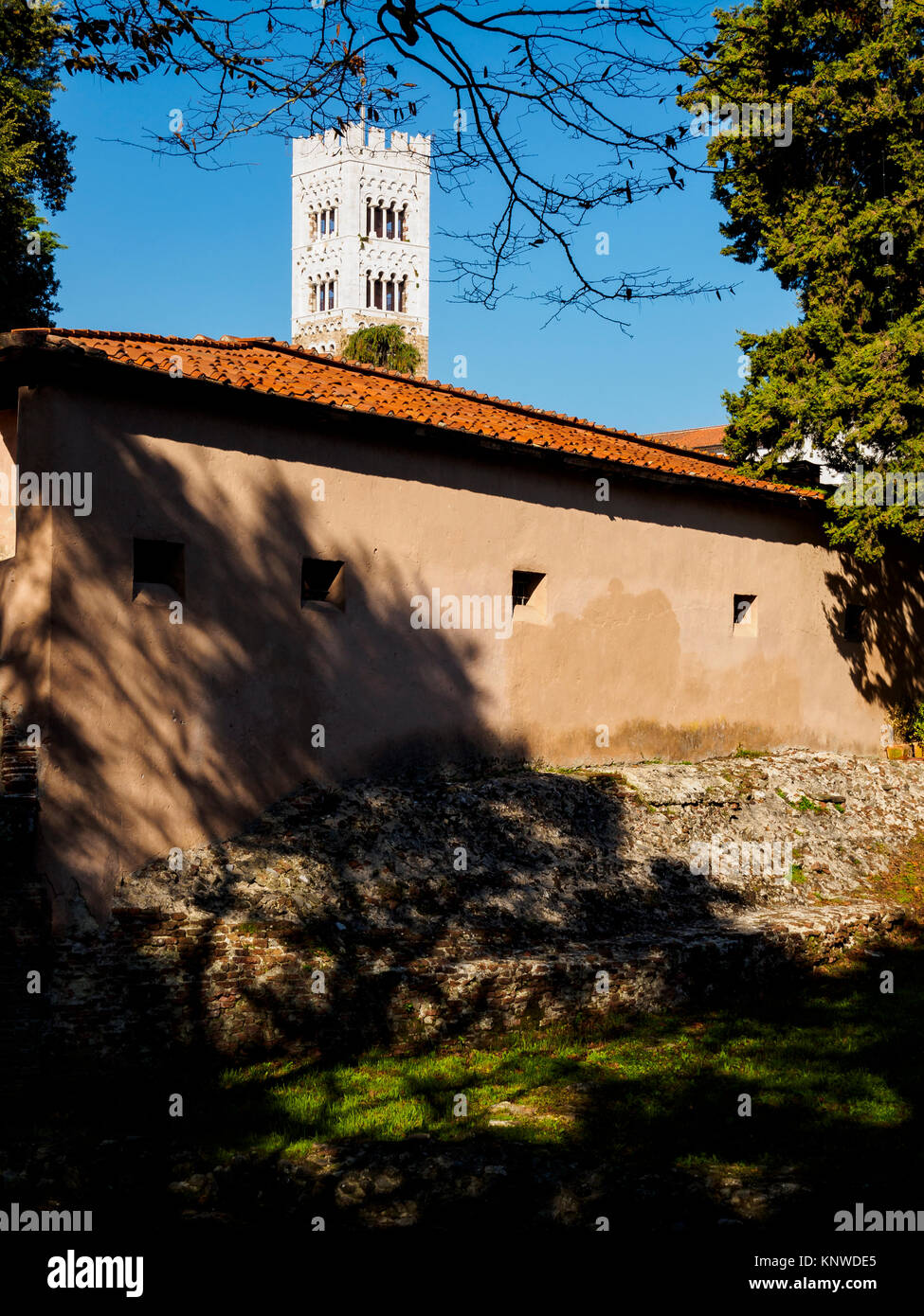 Lucca Cathedral Tower From The City Walls Lucca Italy Stock Photo Alamy