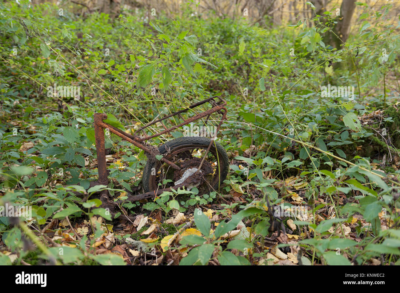 Rubbish left behind in countryside British woodland, old bicycle steel frame and rusting rear wheel are all that remains, better to have recycled it Stock Photo