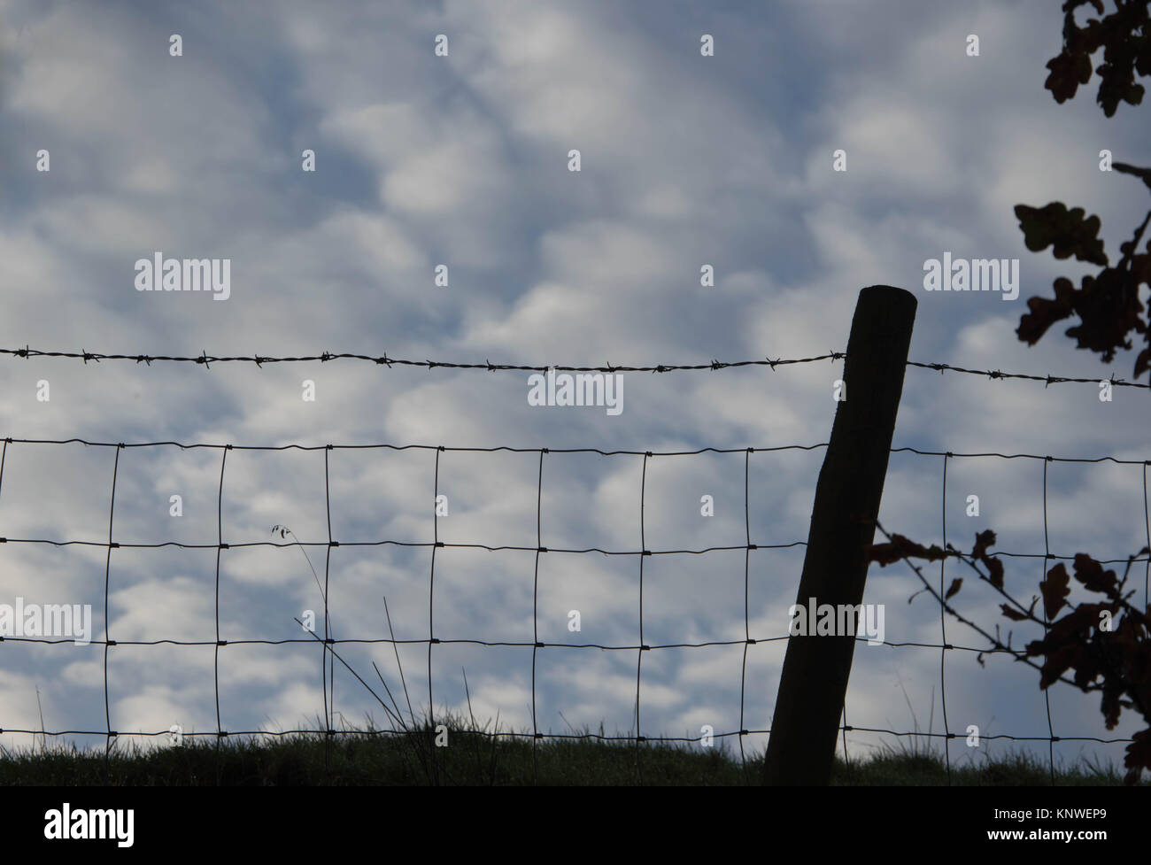Barbed Wire Fence Wooden Post Barbed Wire Stock Photos & Barbed Wire ...