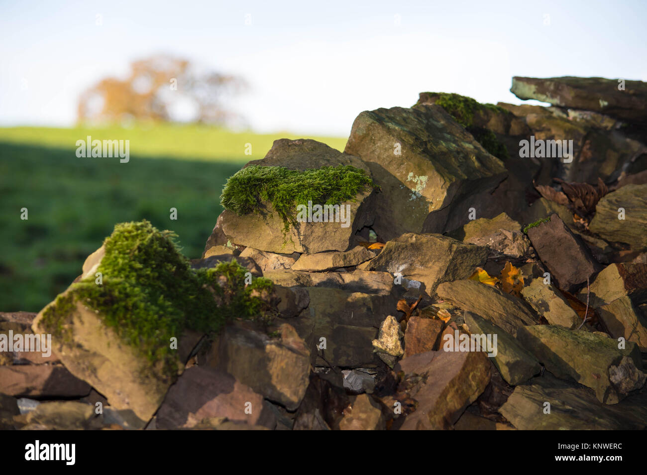 Stone wall with moss in foreground with field in the background Stock Photo