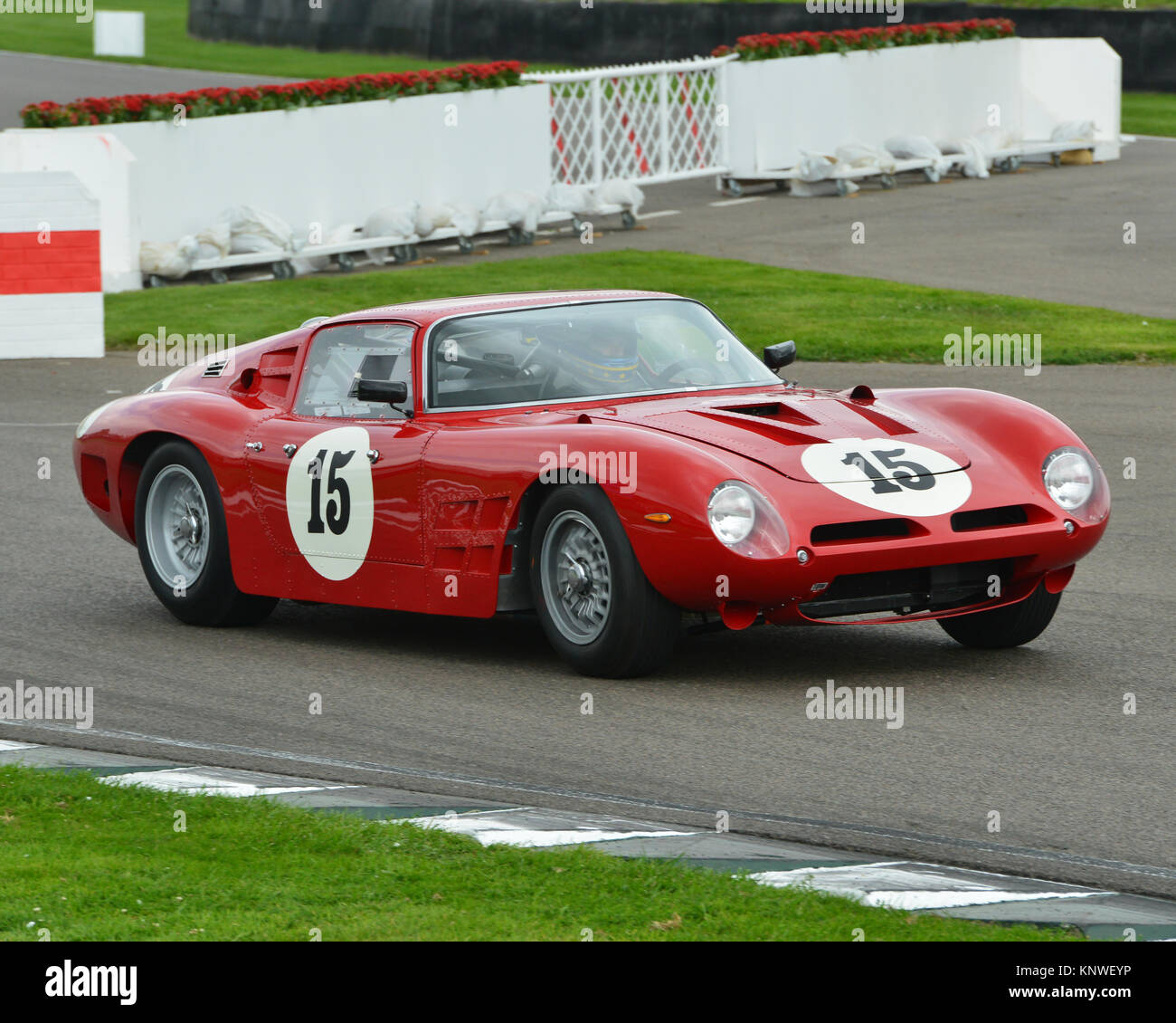 Barrie 'Whizzo' Williams, Nigel Greensall, ISO Bizzarini A3C, RAC, Royal Automobile Club, TT Celebration, Goodwood Revival 2014, Autosport, Goodwood R Stock Photo