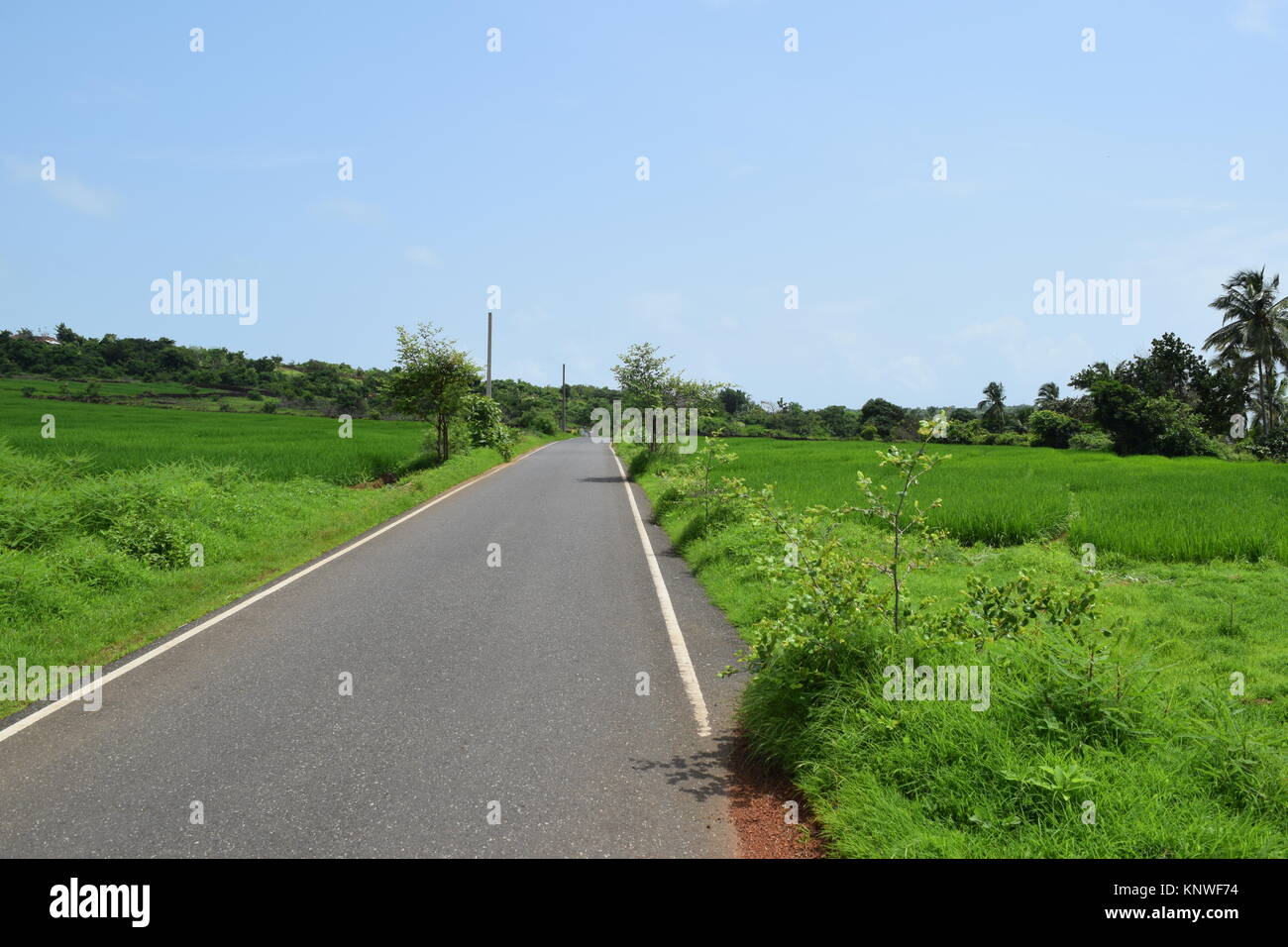 Asphalt roads with greenery in side. Amazing, beautiful road view without any traffic on the road. Nice road view for background or project. Stock Photo