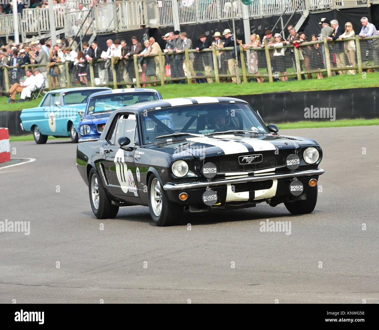 Christian Dumolin, Marc Devis, Ford Mustang, Shelby Cup, Goodwood Revival 2014, 2014, automobile, Autosport, Goodwood Revival, Goodwood Revival 2014,  Stock Photo