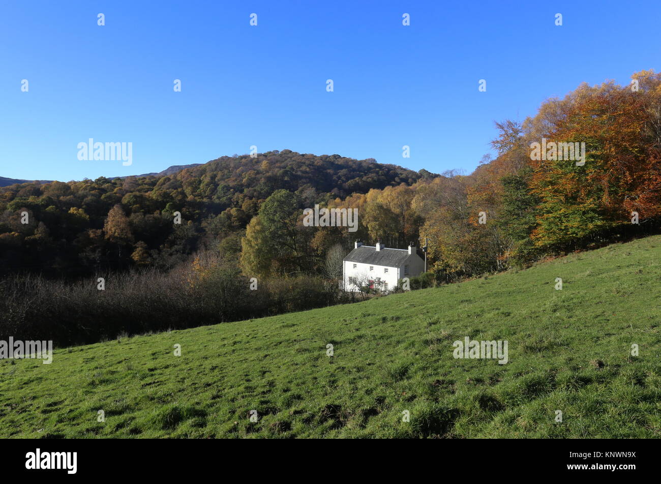 Isolated house in countryside near Comrie in autumn Scotland November ...