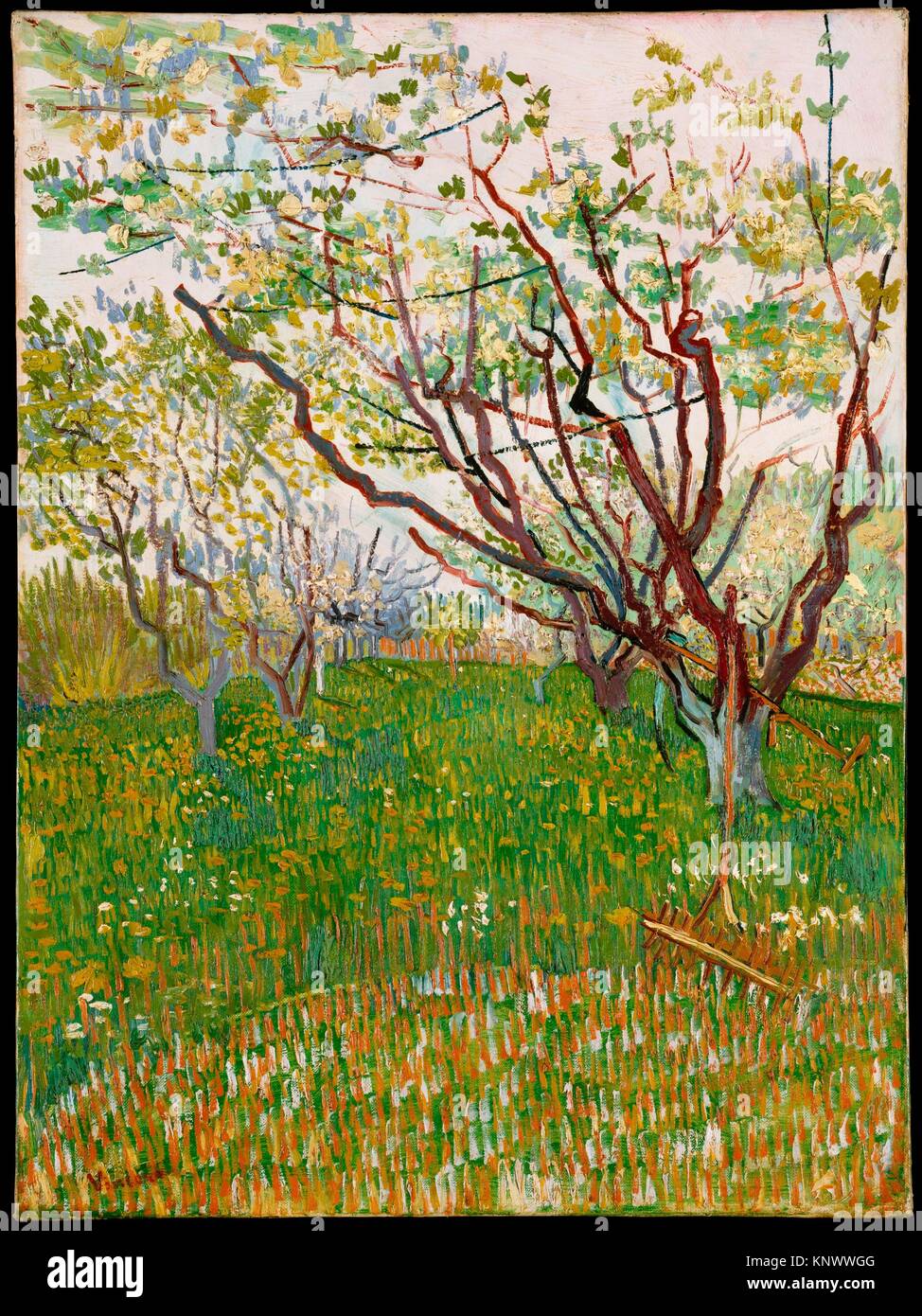 Kiezen Cumulatief Gepensioneerd The Flowering Orchard. Artist: Vincent van Gogh (Dutch, Zundert 1853-1890  Auvers-sur-Oise); Date: 1888; Medium: Oil on canvas; Dimensions: 28 1/2 x  Stock Photo - Alamy