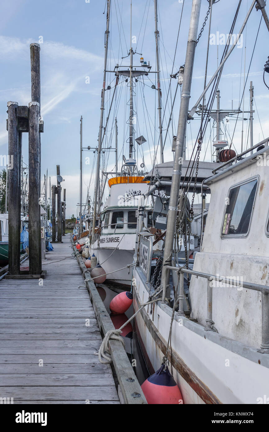 Commercial fishing vessels are in tied up on a summer evening at Fisherman's Wharf in Port Hardy on Vancouver Island, British Columbia. Stock Photo