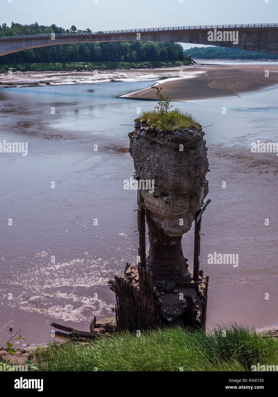 Former bridge posts, Shubenacadie River, South Maitland, Nova Scotia, Canada. Stock Photo