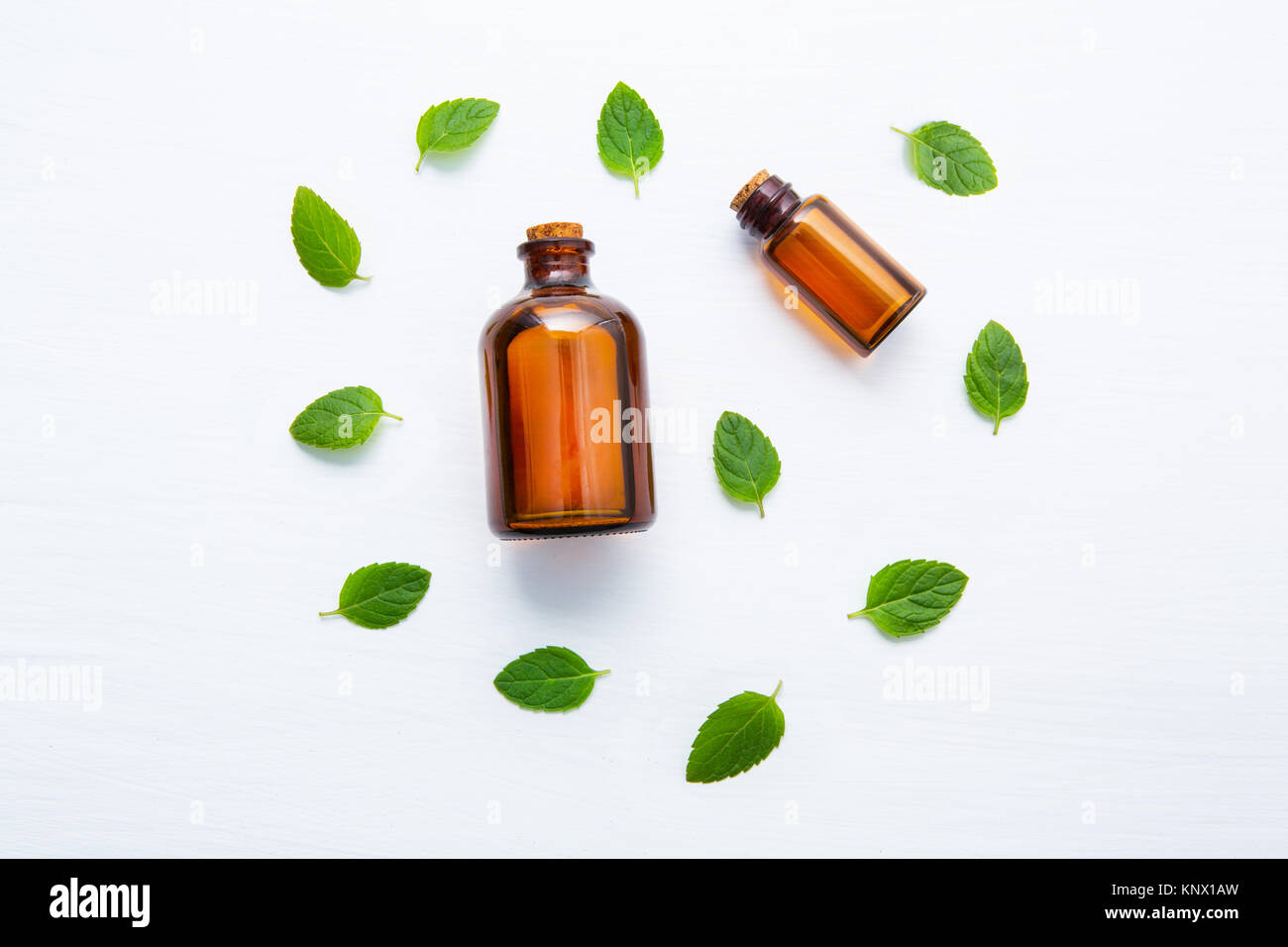 Natural Mint Essential Oil in a Glass Bottle with Fresh Mint Leaves on ...