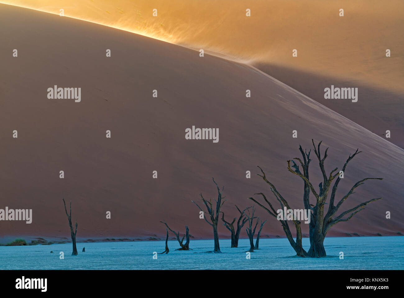 Sand dunes wind hi-res stock photography and images - Alamy