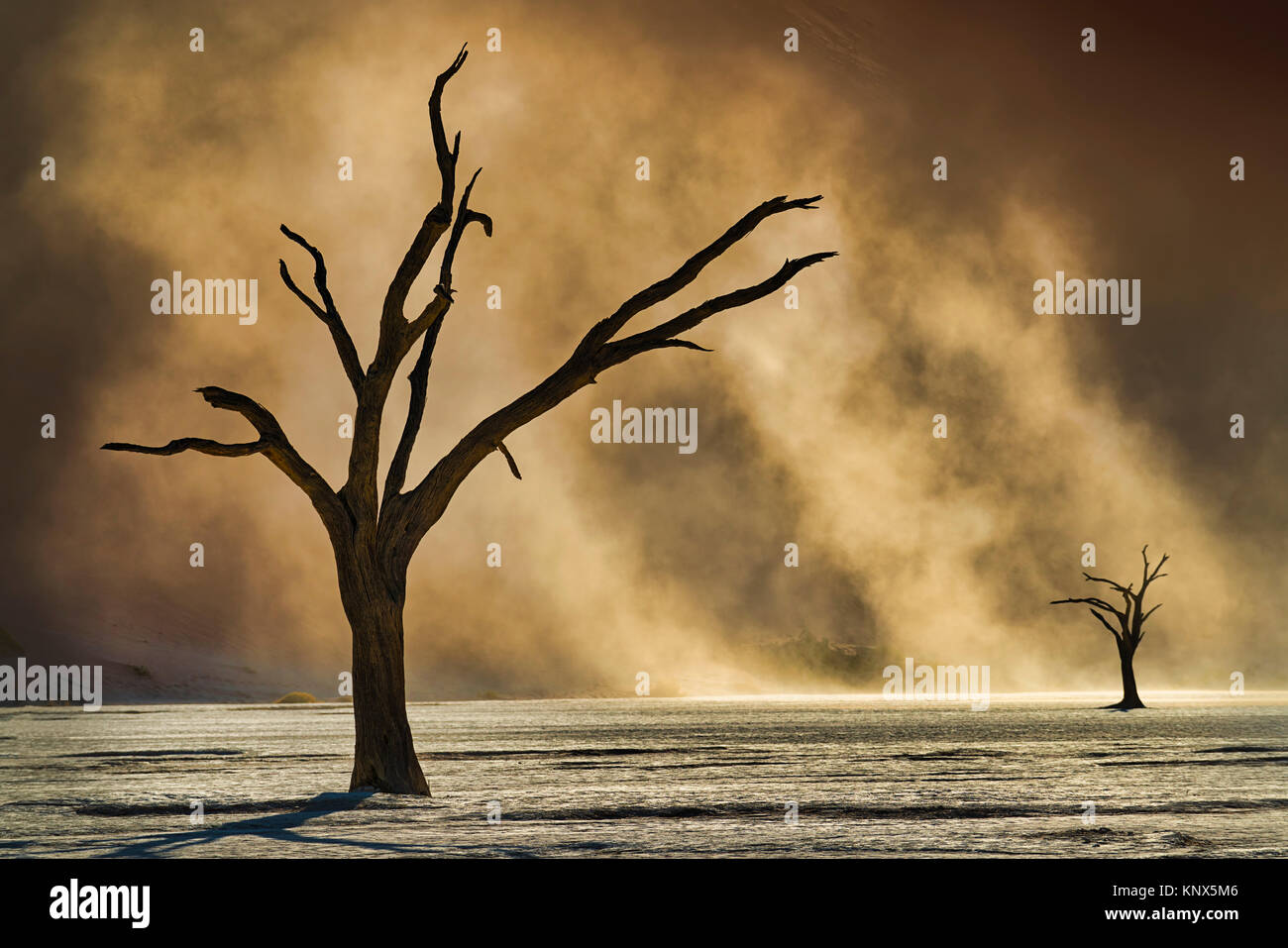 Sand dunes wind hi-res stock photography and images - Alamy