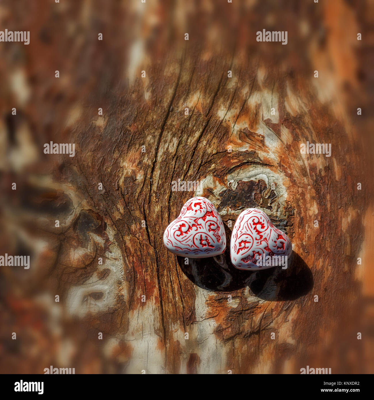 Two beautiful red and white hearts lying side by side on a wooden, old ...