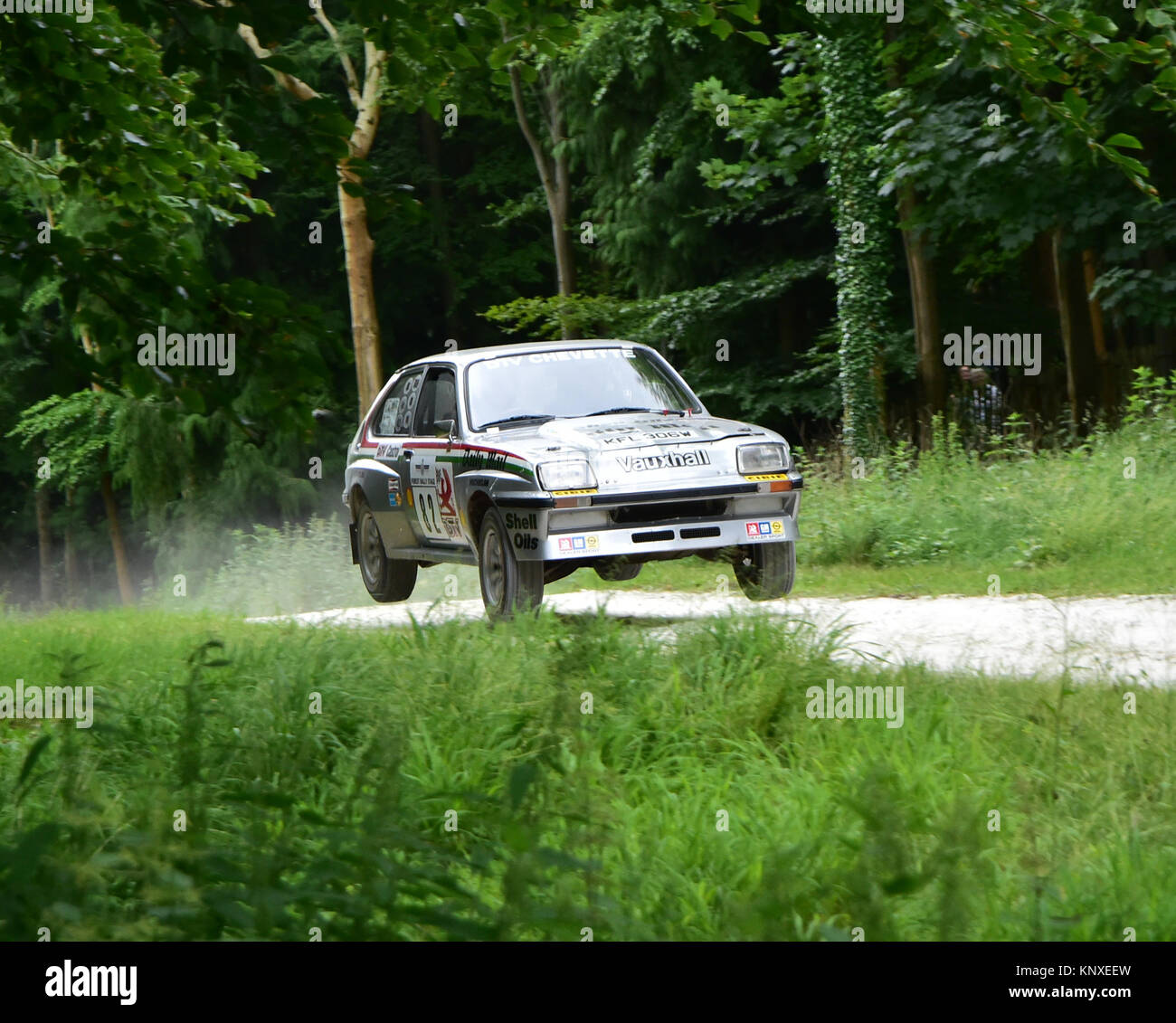 Lee Kedward, Vauxhall Chevette HSR, KFL 306 W, Forest rally stage, Goodwood FoS 2015, 2015, Classic, dust, entertainment, fearless, Festival of Speed, Stock Photo