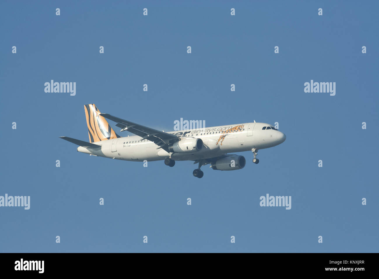 Tigerair airbus a320 hi-res stock photography and images - Alamy Tigerair airbus a320 hi-res stock photography and images - Alamy