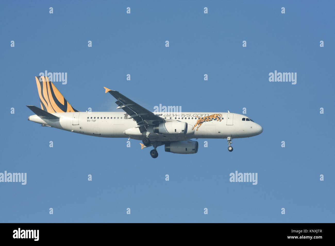 Tigerair airbus a320 hi-res stock photography and images - Alamy