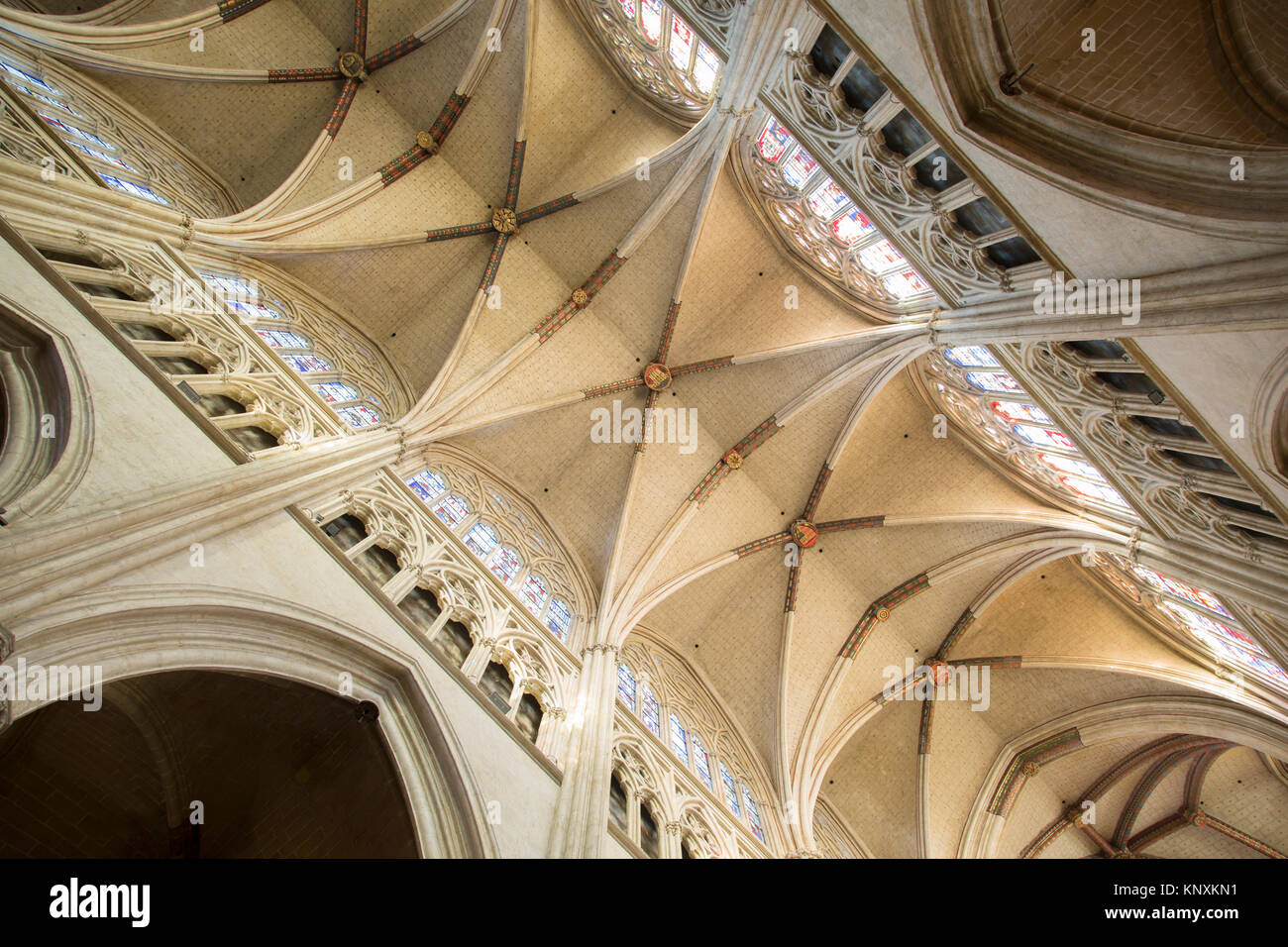 Ceiling with Stained Glass Windows, Cathedral Church; Bayonne; France ...