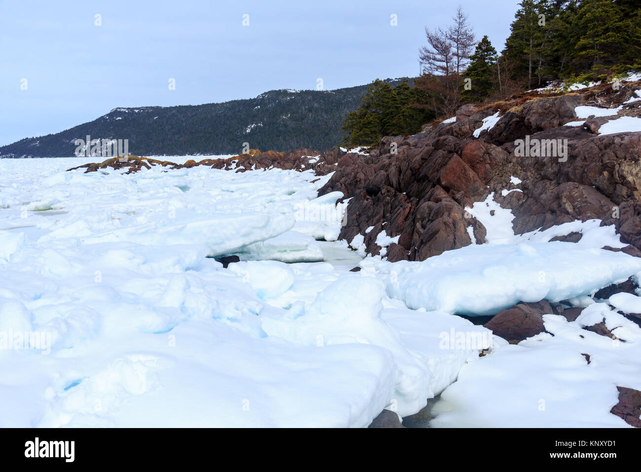 Pack ice in Avondale, Newfoundland, Canada Stock Photo Alamy