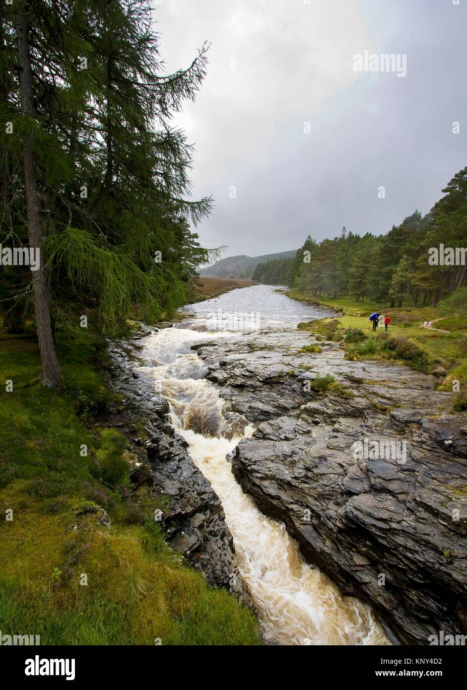 River Dee. Cairngorms National Park. Braemar. Aberdeenshire. Scotland. Europe. Stock Photo