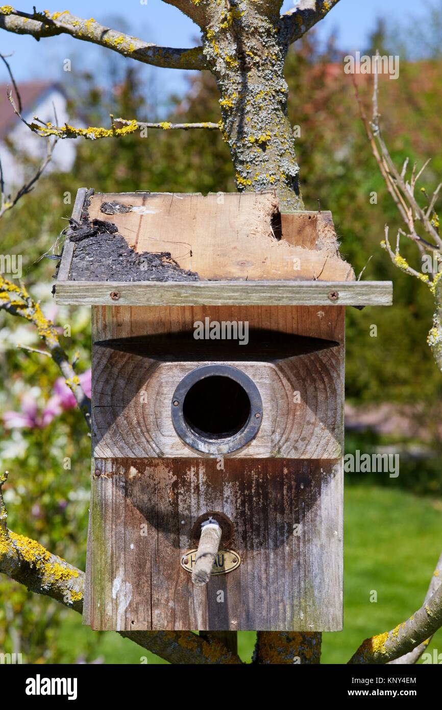 Starling box hi-res stock photography and images - Alamy