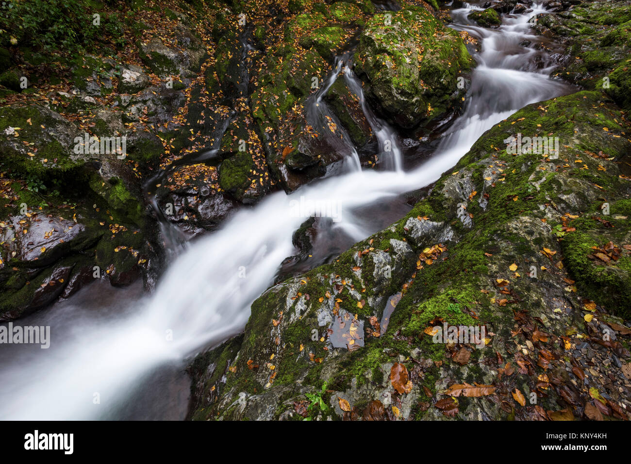 Autumn waterfall at Bruzella mill, Muggio Valley, Mendrisio District, Canton Ticino, Switzerland. Stock Photo