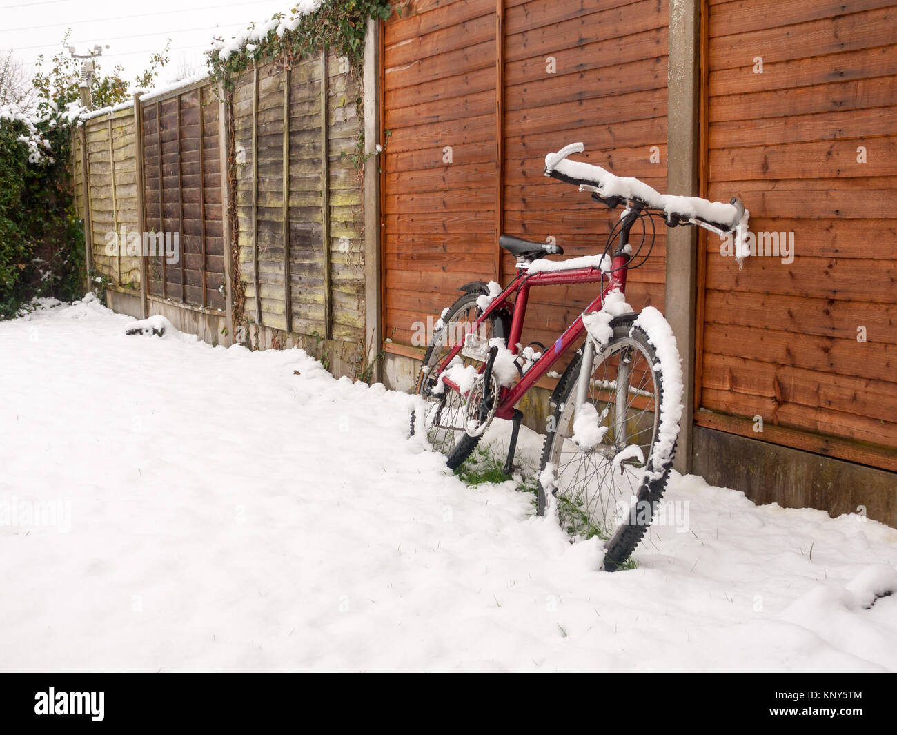winter bicycle cover