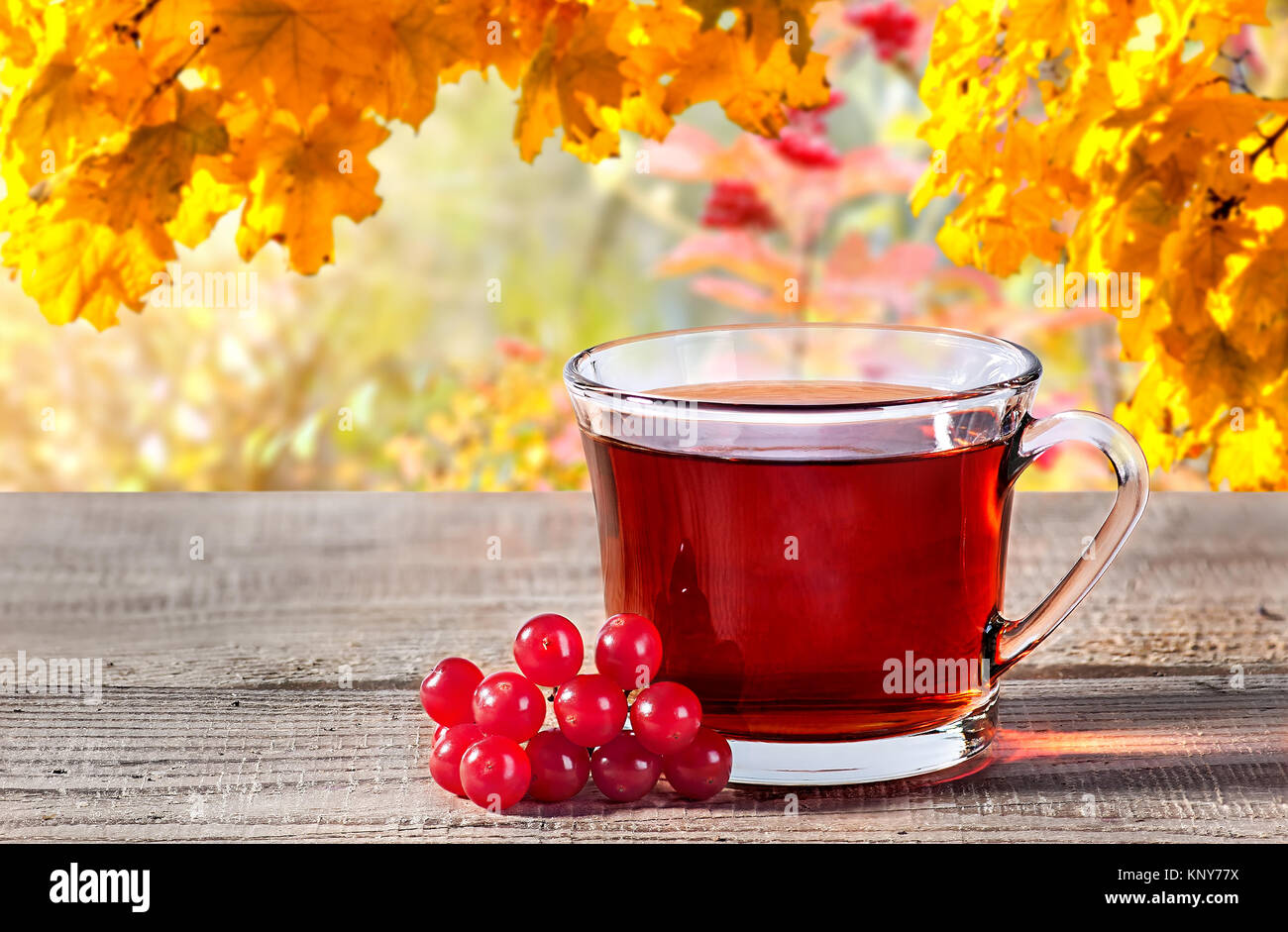 Cup of black tea with viburnum berries Stock Photo