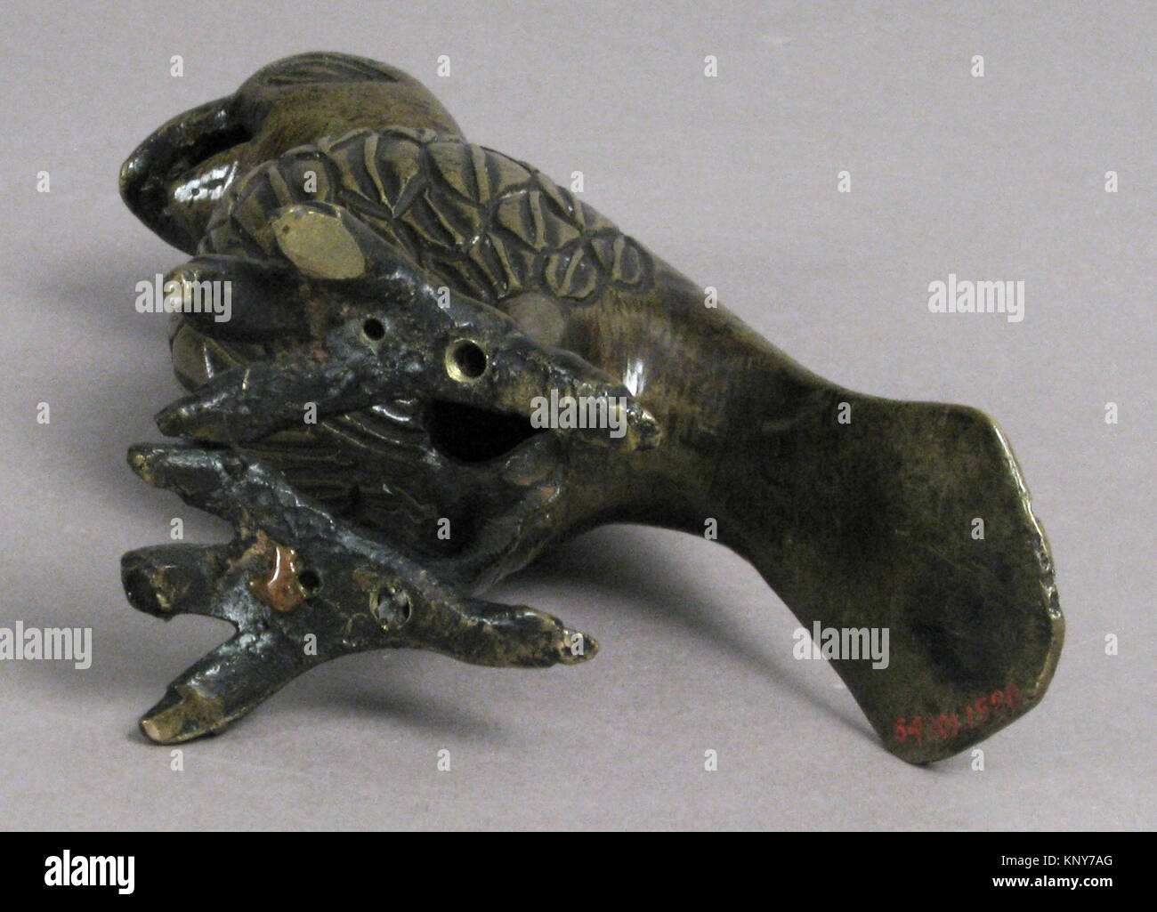 Curated specimen archive hi-res stock photography and images - Alamy