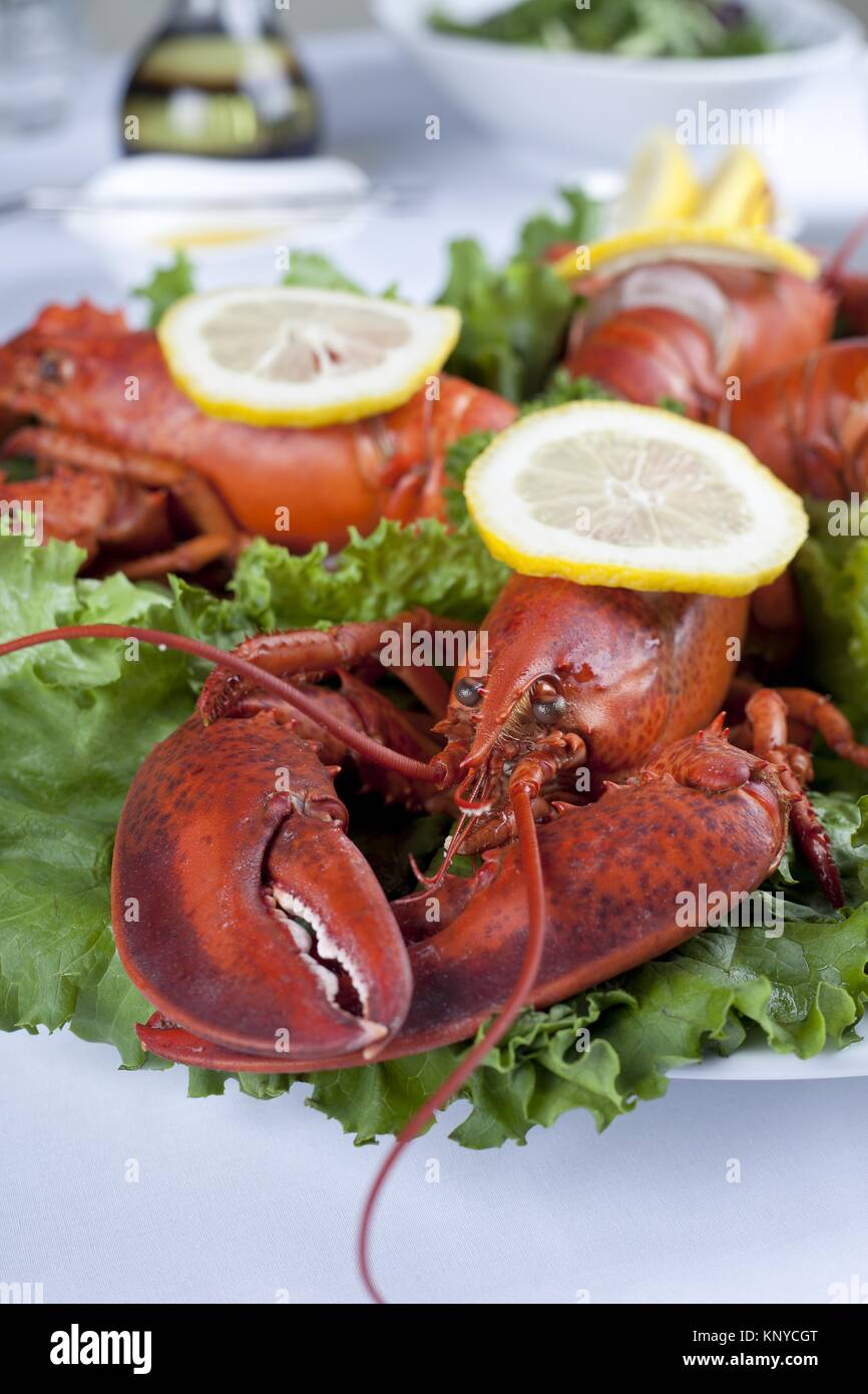 a plate with lettuce and lobster Stock Photo