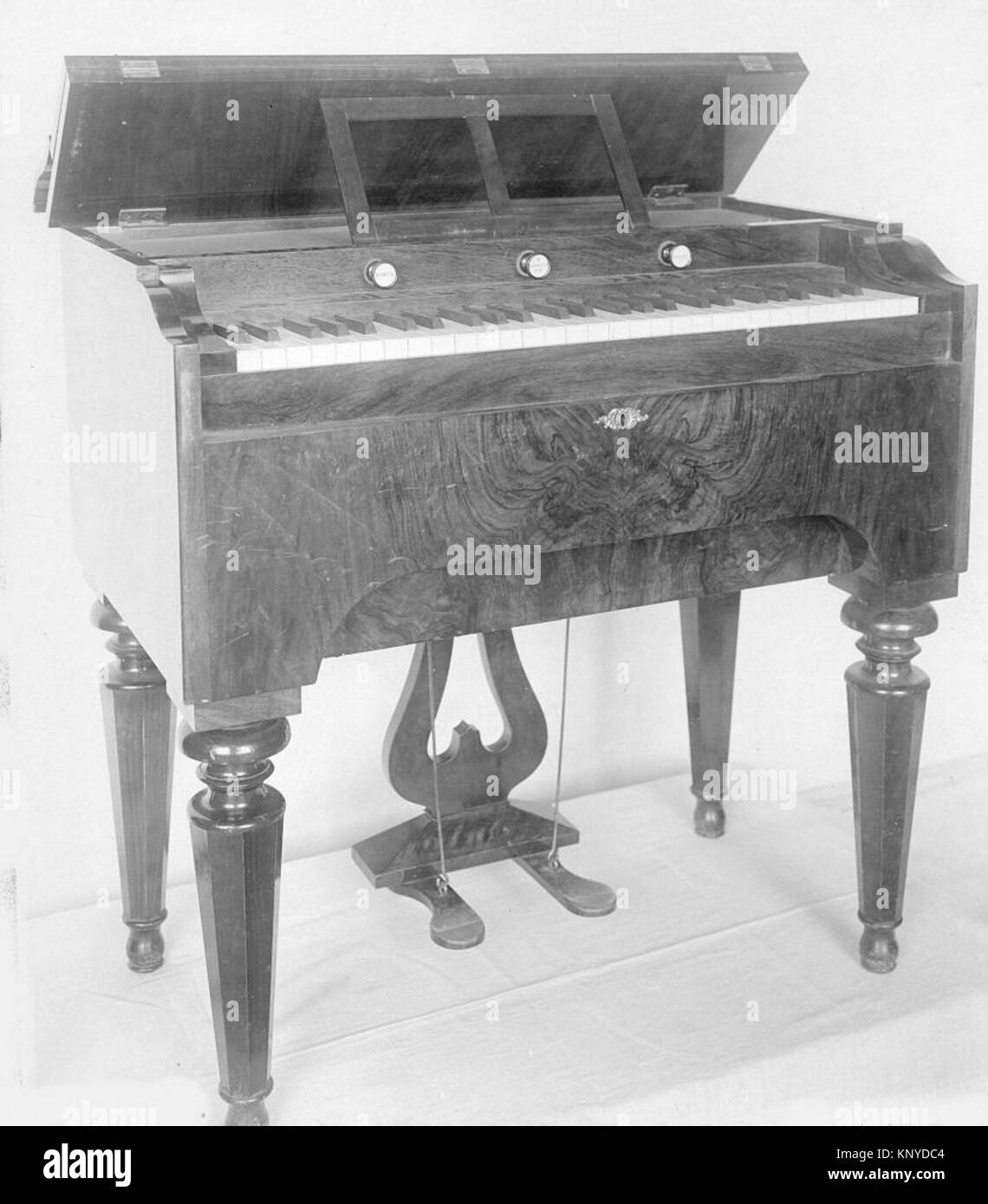 Harmonium MET MUS1170B 505026 Stock Photo Alamy