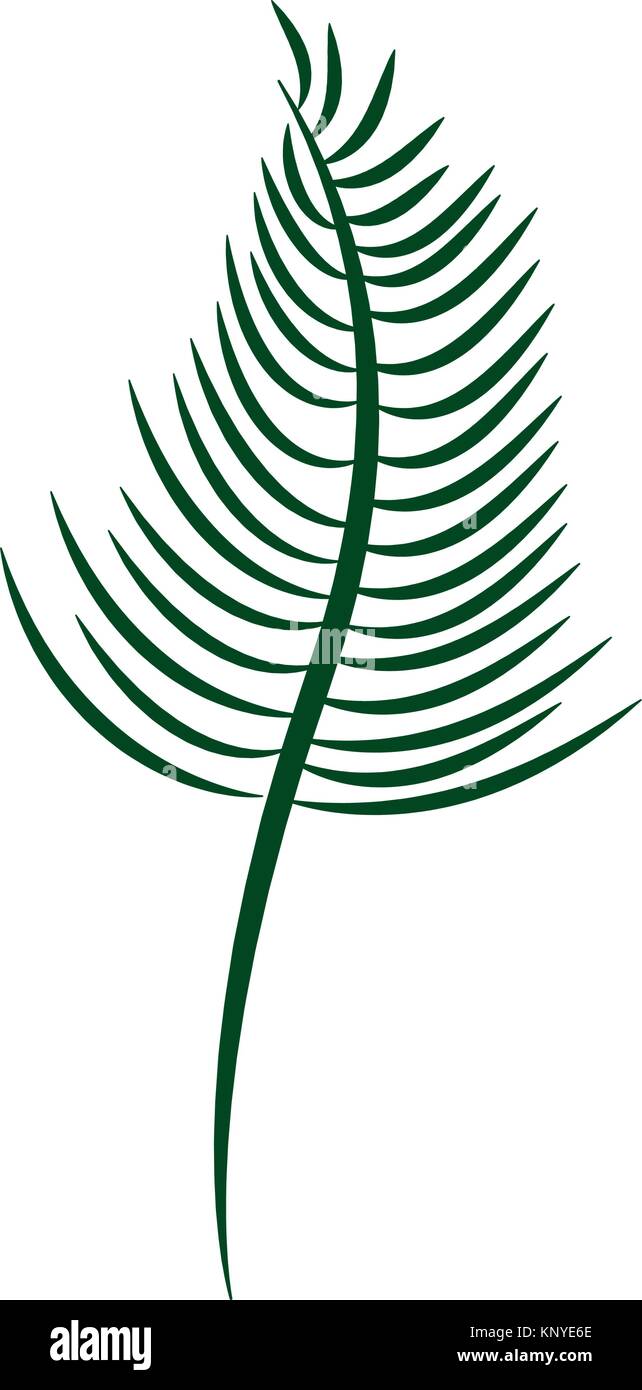 tropical leaf plant natural wild botanical Stock Vector Image & Art - Alamy