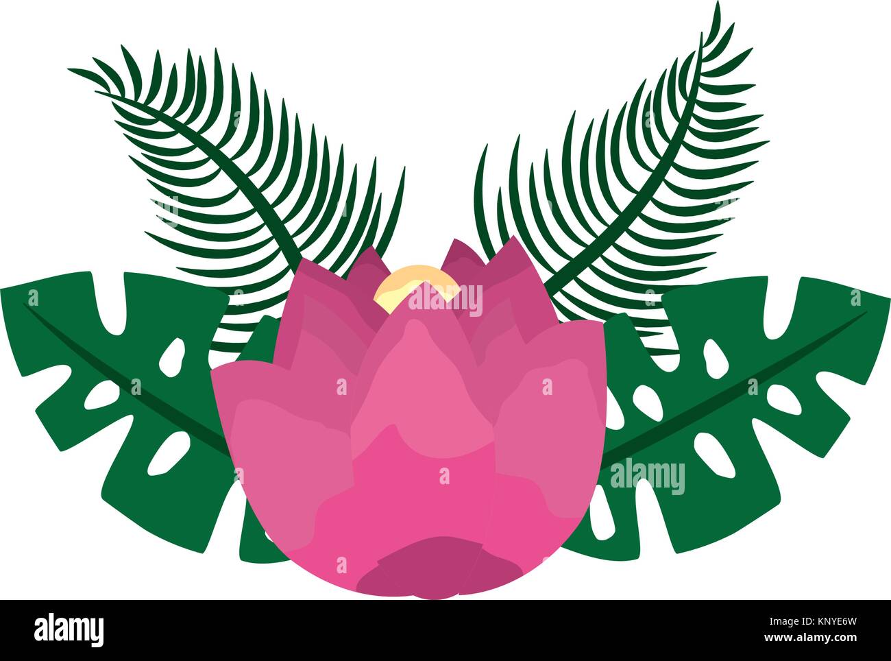 flower tropical plant leaves exotic nature Stock Vector Image & Art - Alamy