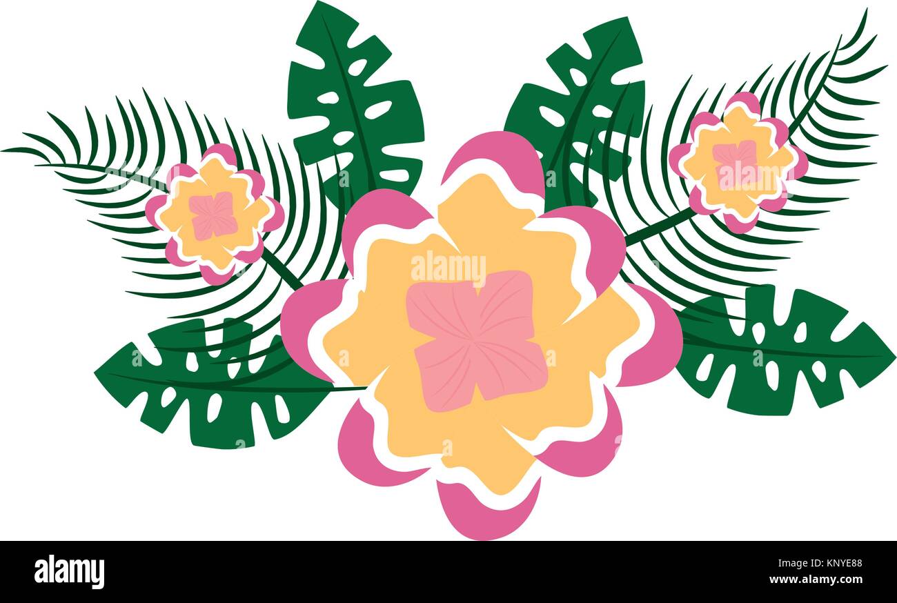 flower tropical plant leaves exotic nature Stock Vector Image & Art - Alamy