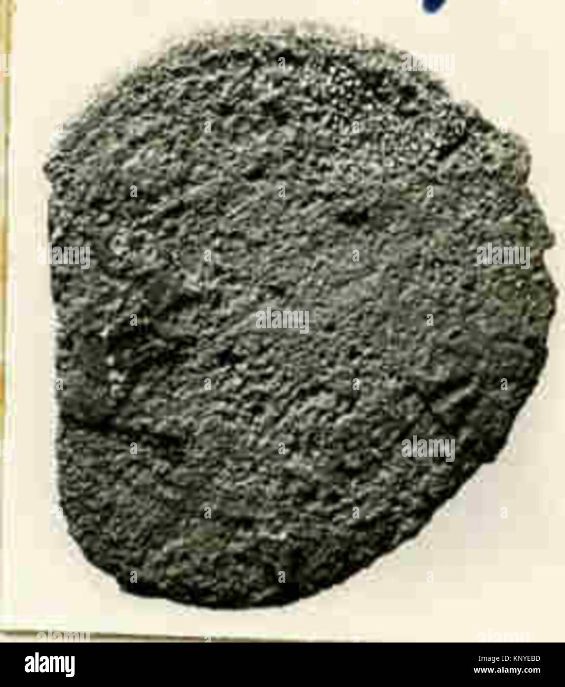 This illustration depicts an ancient coin, showing its design ...