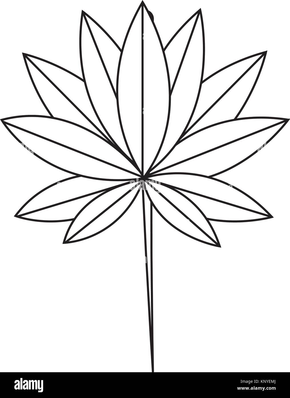 tropical leaf plant natural wild botanical Stock Vector Image & Art - Alamy