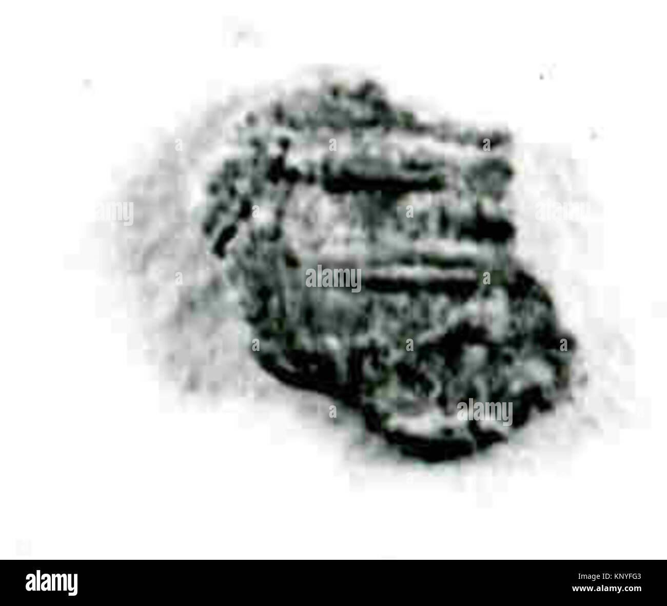 Metal coin from antiquity, illustrating historical numismatic ...