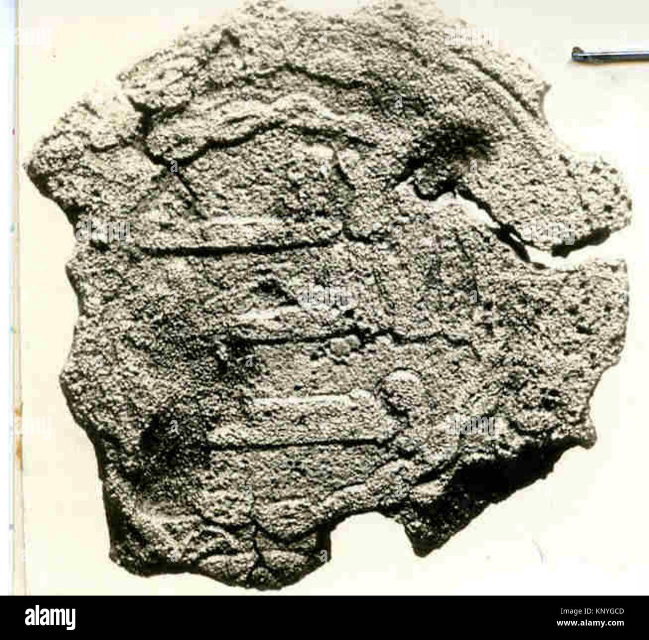 Archival Inscription Image of an ancient coin from the Metropolitan Museum, catalog number ...
