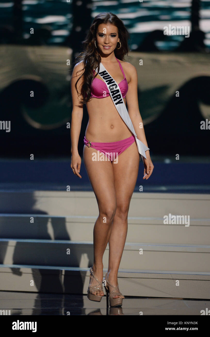 MIAMI, FL - JANUARY 21: Miss Hungary Henrietta Kelemen 2014 competes in the  The 63rd Annual Miss Universe Preliminary Competition and National Costume  Show, held at U.S. Century Bank Arena, Florida International