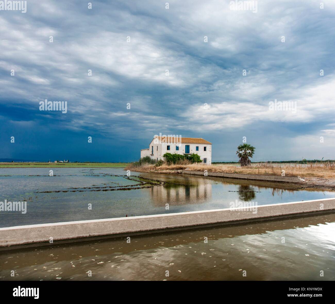 House among rice fields, El Perello, Valencia, Spain Stock Photo Alamy