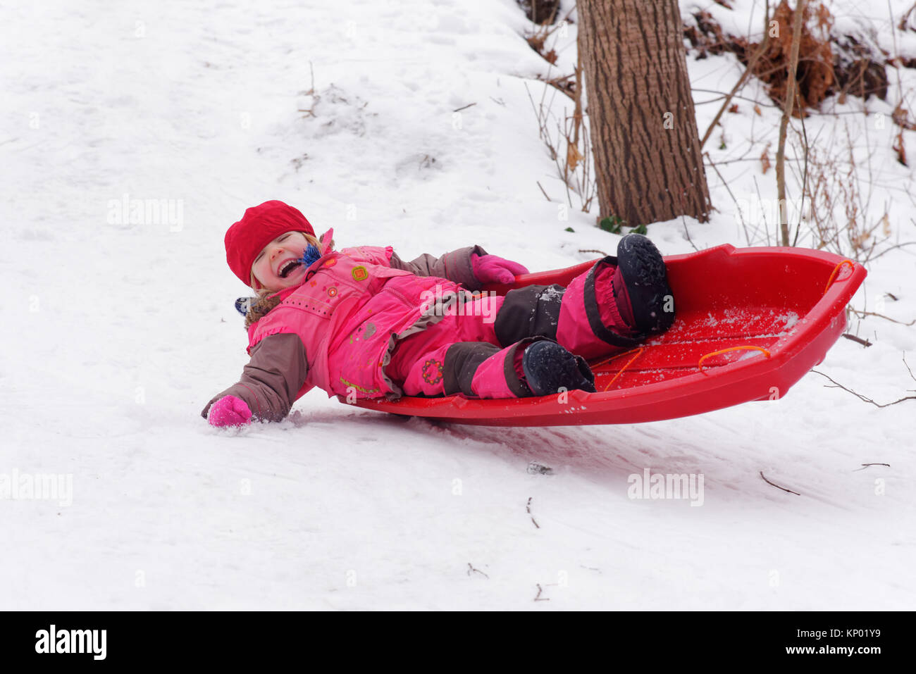 A little girl (3 yr old) sledging in Quebec Stock Photo