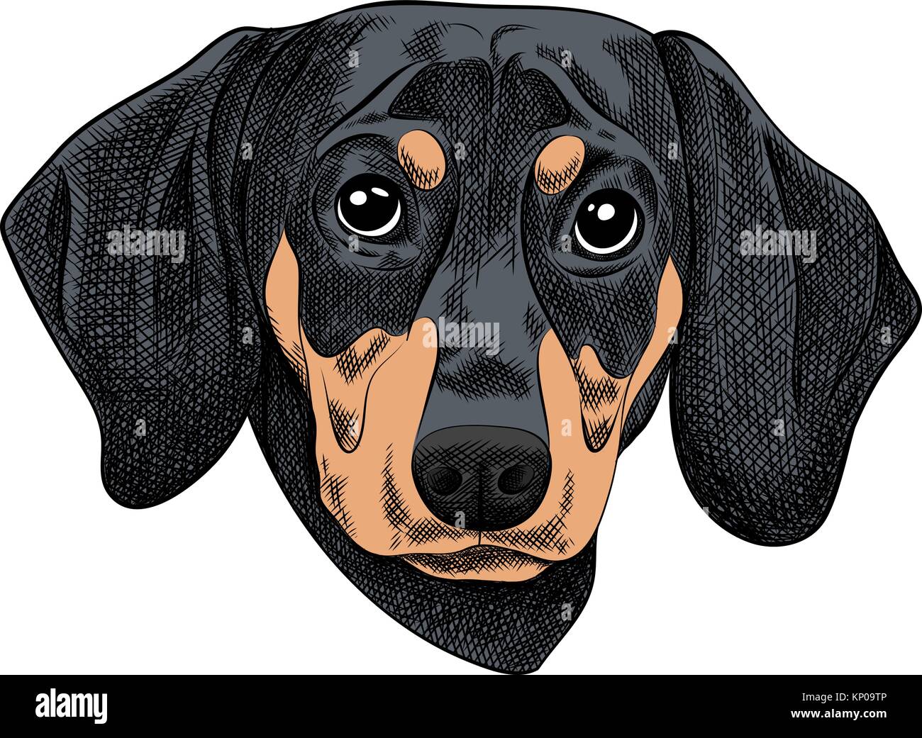 Download Vector illustration of a Dachshund dog for a Christmas ...