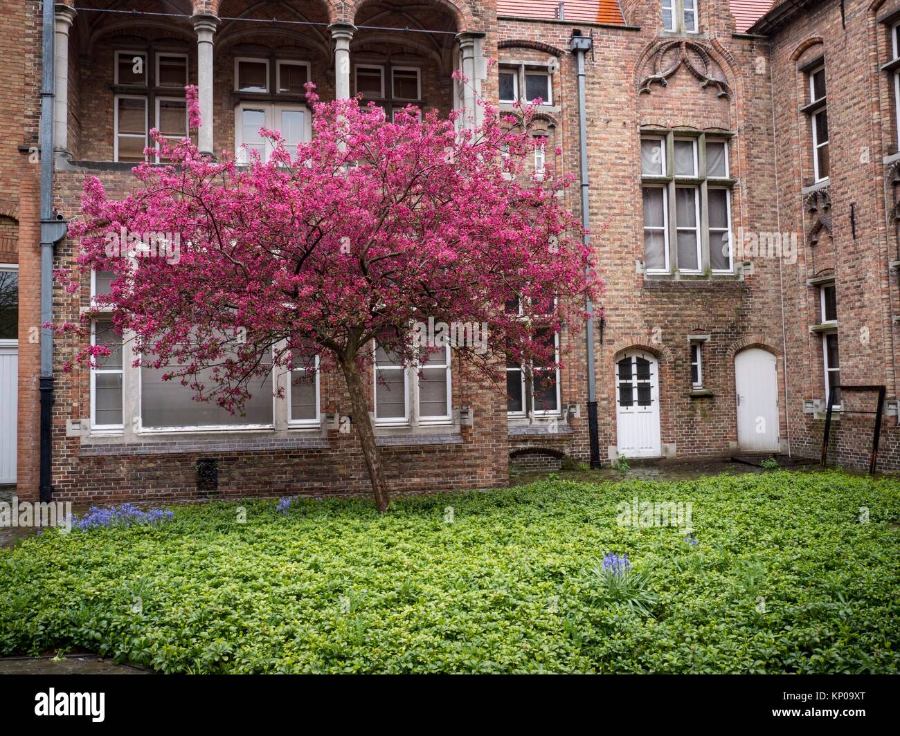 Bruges Belgium Architecture Stock Photo Alamy