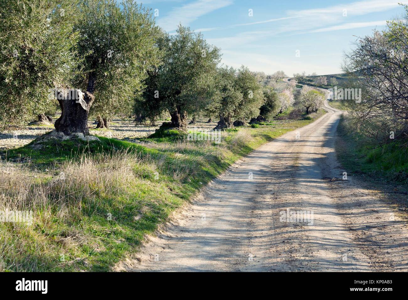 The Loba road. Pinto. Madrid. Spain. Europe. Stock Photo