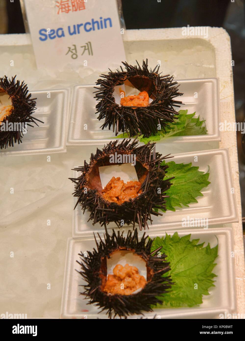 Sea Urchin Food