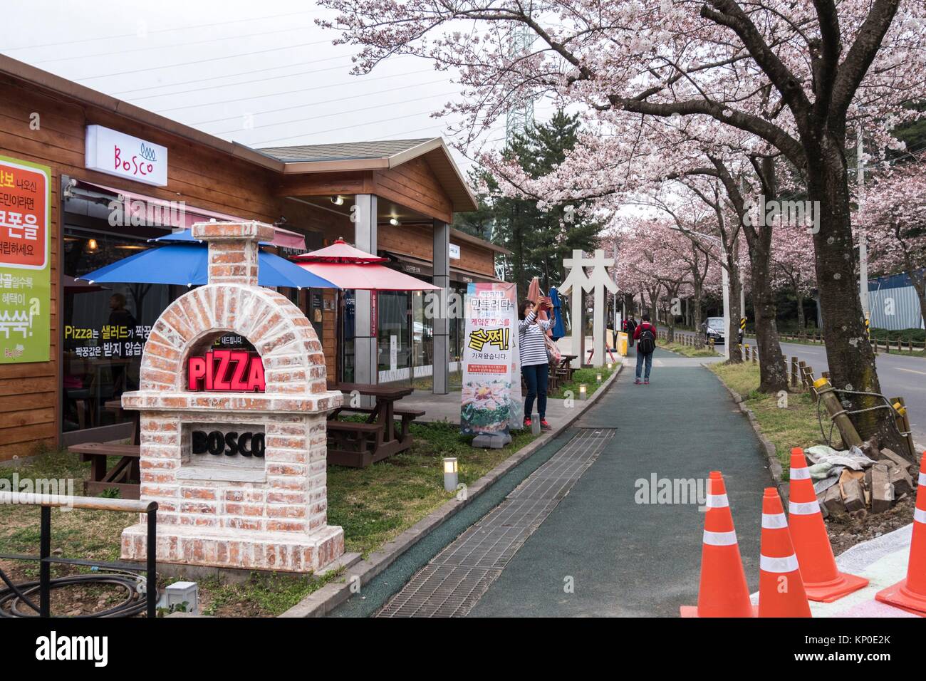 Cherry Blossoms, Jeju Island, Korea Stock Photo Alamy