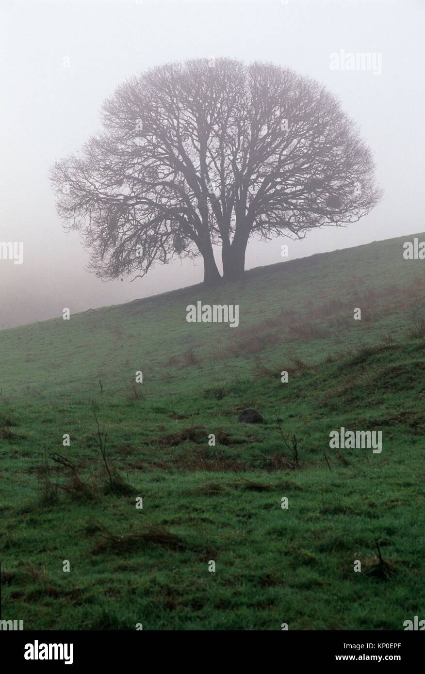 Habitat management hires stock photography and images Alamy