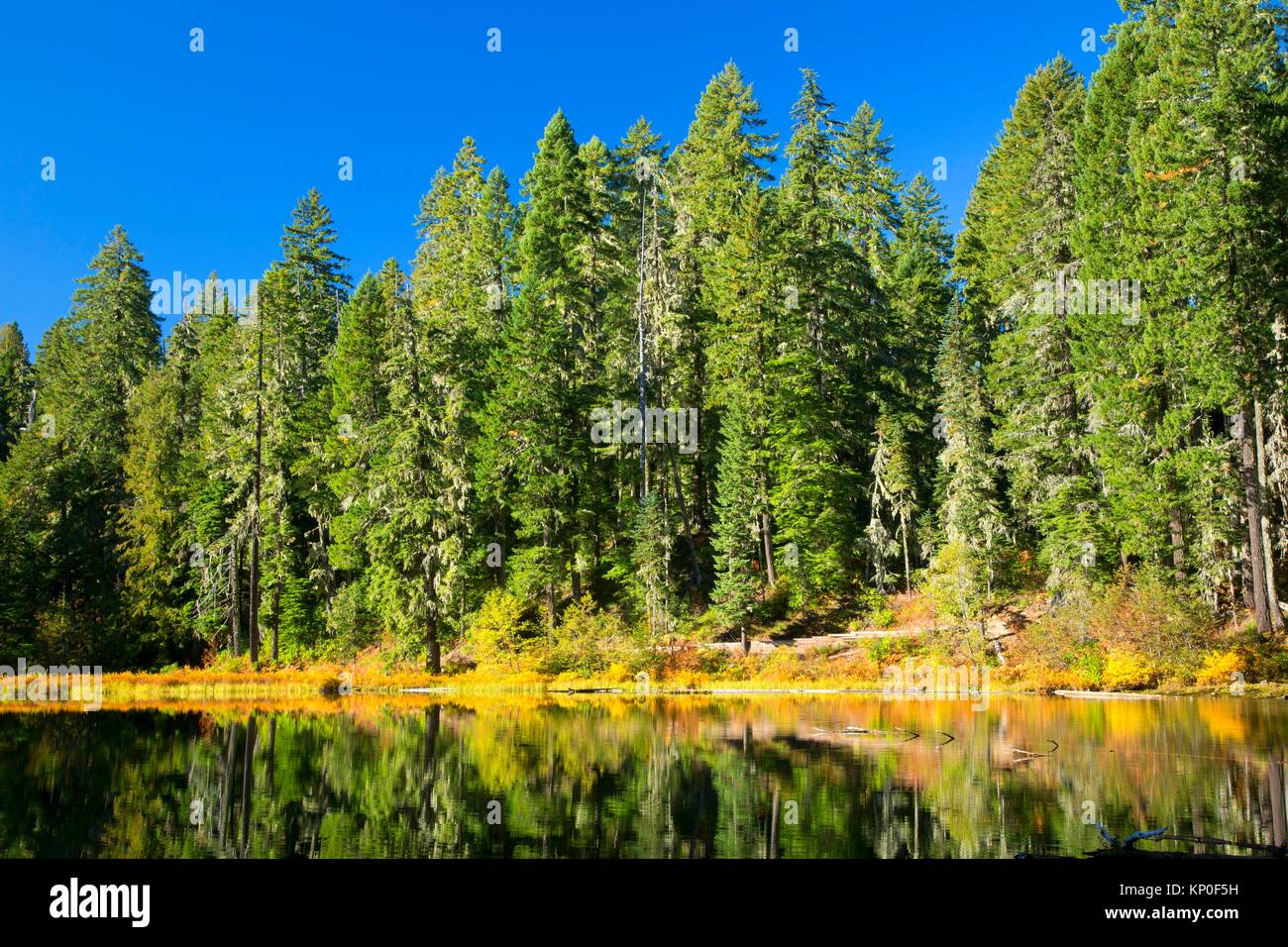 Daly Lake, Willamette National Forest, Oregon. Stock Photo