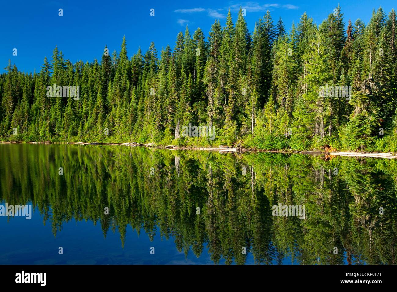 Claggett Lake, Mt Jefferson Wilderness, Willamette National Forest, Oregon. Stock Photo