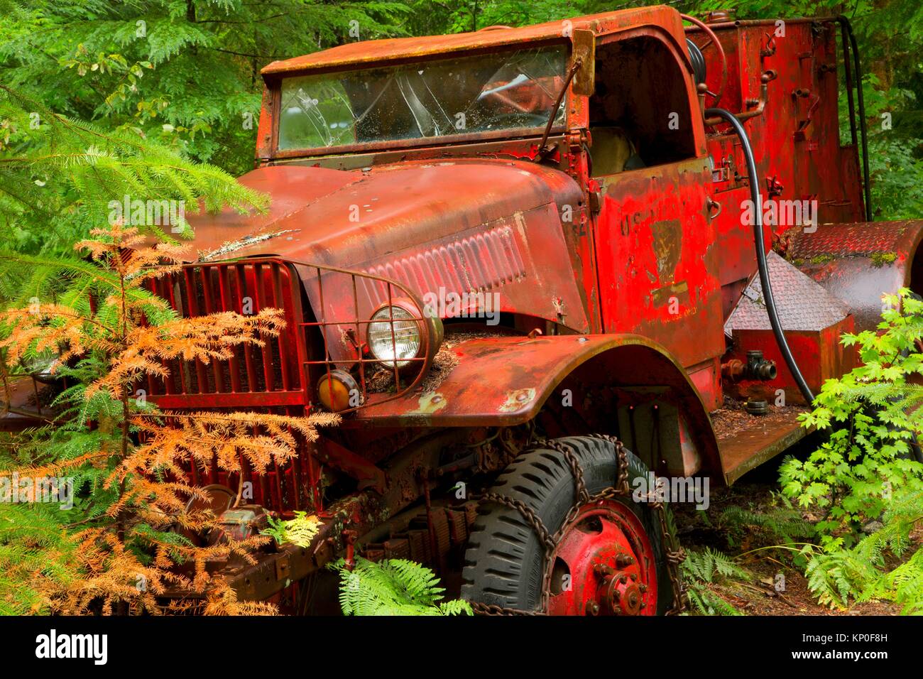 Antique truck at Jawbone Flats, Opal Creek Scenic Recreation Area, Willamette National Forest, Oregon. Stock Photo