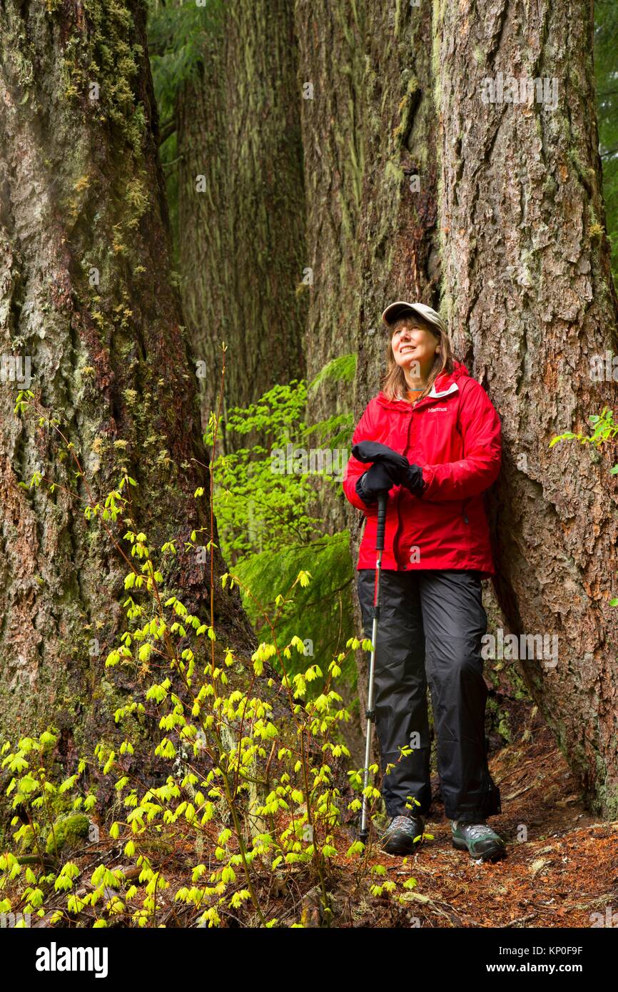 Hiker on Daly Lake Trail, Willamette National Forest, Oregon. Stock Photo