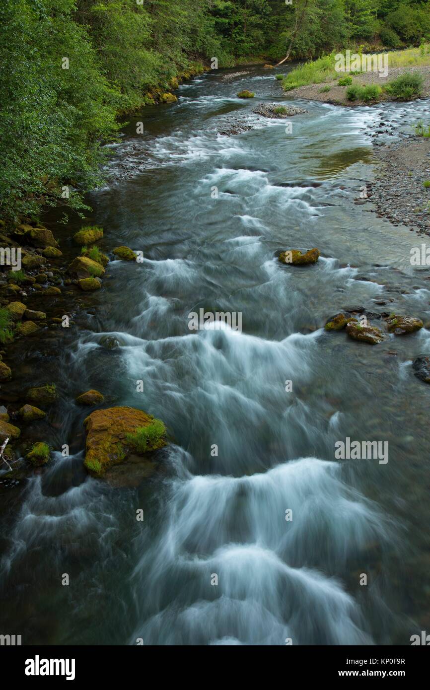 North Fork of the Middle Fork Willamette Wild and Scenic River