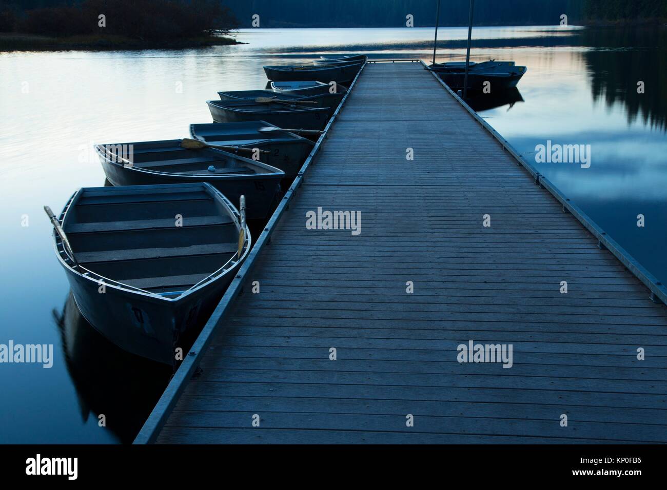 Clear Lake Resort Boat Dock At Dawn Willamette National Forest